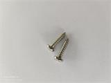Anode screw