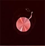 Interrupteur chauffage