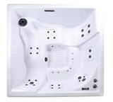 Spa NetSpa Square Wave 2